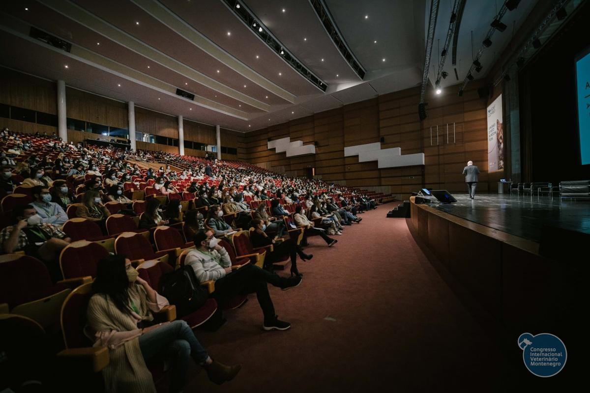 252917691 4534701309961569 2702643354765773992 n 4534701359961564