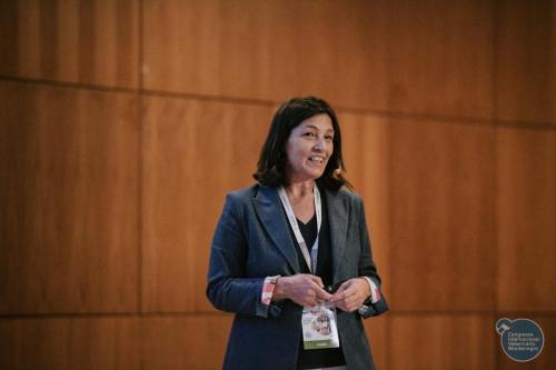 251096819 4534693303295703 3398716282862116199 n 4534693326629034