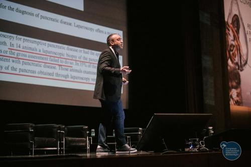 251397635 4534703886627978 1542717879268410973 n 4534703936627973