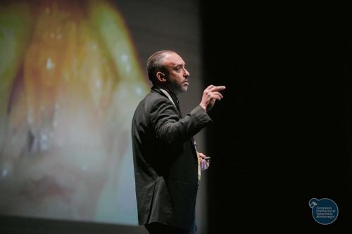 251411978 4534703779961322 2019294044926063305 n 4534703799961320