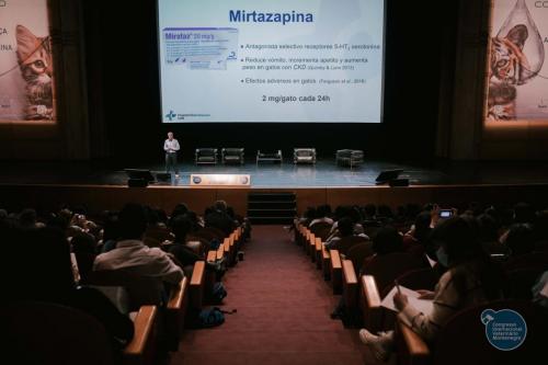 251440463 4534773186621048 7646095823938622888 n 4534773233287710