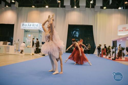 251442763 4534711023293931 7412948462915534657 n 4534711056627261