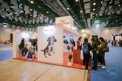 251564914 4534698473295186 2554869826135343553 n 4534698489961851