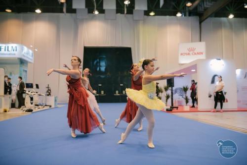 251583156 4534716193293414 7026926823274990469 n 4534716209960079