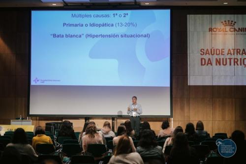 251651663 4534690363295997 8502601245854049775 n 4534690379962662