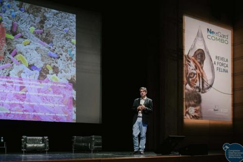 251692065 4534777253287308 608597990410995993 n 4534777299953970