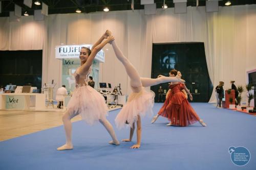 251752782 4534713039960396 1057108858010056546 n 4534713083293725