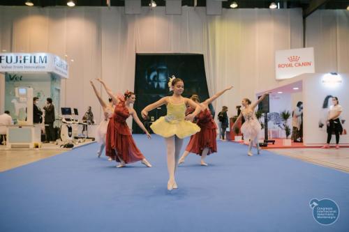 251783862 4534711393293894 8175562010740765511 n 4534711473293886