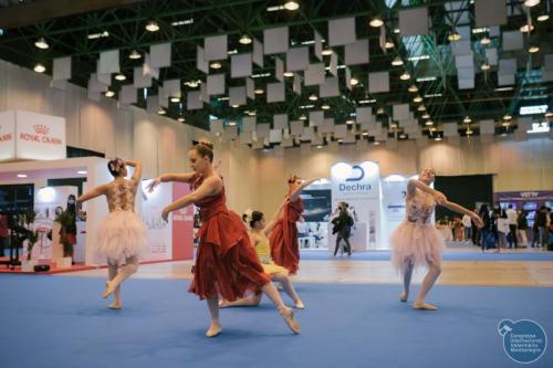 251999715 4534712726627094 4323263294628822895 n 4534712736627093