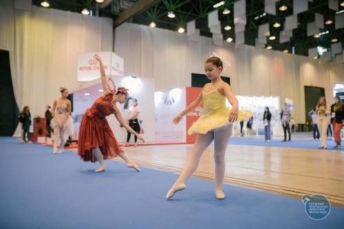 252054130 4534716183293415 5494930814572509676 n 4534716206626746