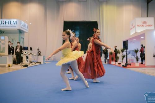 252238314 4534715539960146 8197780607884606264 n 4534715583293475