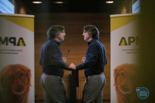 252288797 4534731333291900 2816405610682256657 n 4534731373291896