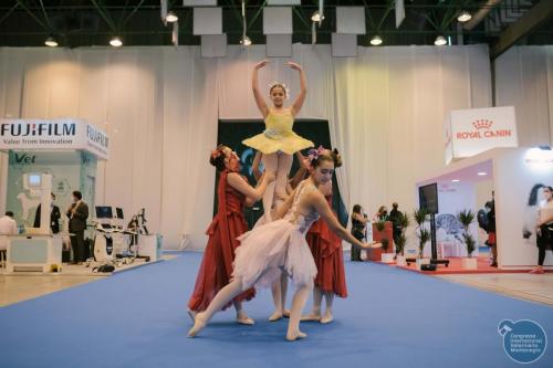 252310731 4534712846627082 1882144466159818817 n 4534712879960412