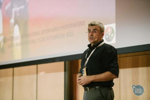 252310745 4534725736625793 4598434207675895139 n 4534725783292455