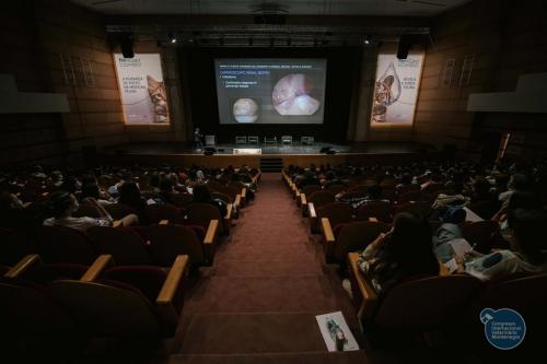 252509786 4534699926628374 202642167003210012 n 4534699983295035