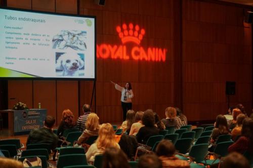 88974364 2661202473978138 6568584980908212224 n 2661202463978139