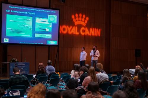 88977588 2661196780645374 2744861032768864256 n 2661196773978708