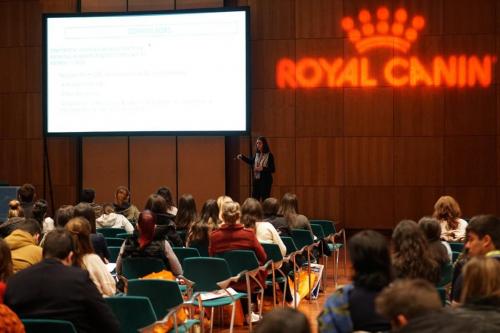 88977614 2659492347482484 8814041261041254400 n 2659492337482485