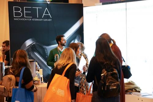 88979068 2661187090646343 2480574390622748672 n 2661187083979677