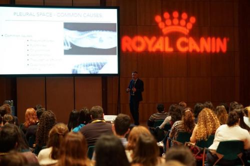 88983940 2661172890647763 8900176709903450112 n 2661172870647765