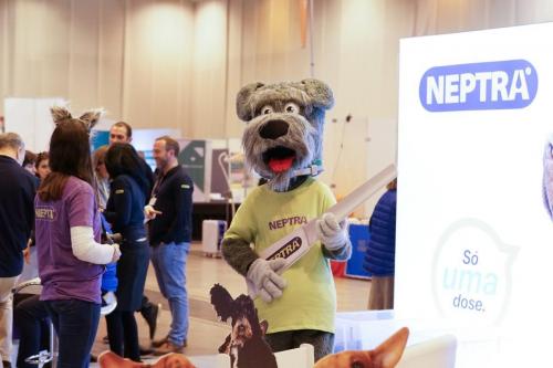 89030158 2661186803979705 4070076176951934976 n 2661186800646372