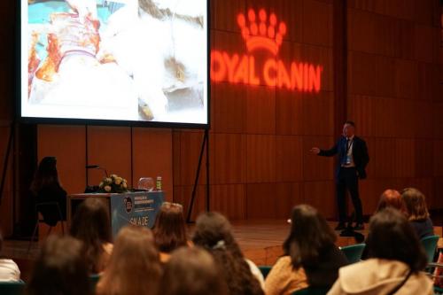 89030483 2661172587314460 6230916520407465984 n 2661172573981128