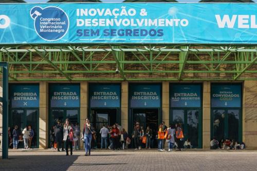 89038538 2661265207305198 76732434011389952 n 2661265200638532