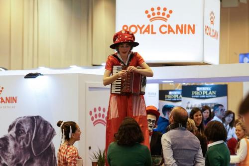 89038734 2659509934147392 7567144531968131072 n 2659509927480726