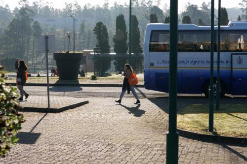 89085199 2661231650641887 6785059497359441920 n 2661231643975221