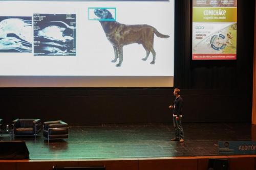 89125616 2661274423970943 3007555590667894784 n 2661274410637611