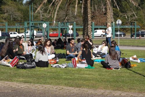 89152011 2661266357305083 6990628159838224384 n 2661266347305084