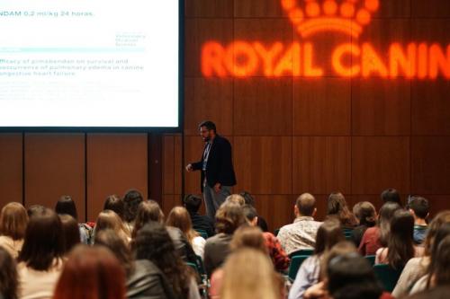 89154338 2661274427304276 6608620033226571776 n 2661274413970944