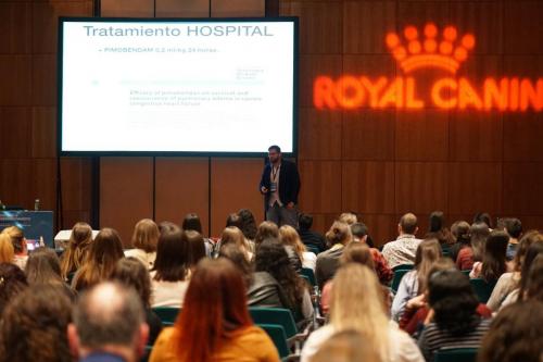 89154896 2661274613970924 6769334037245853696 n 2661274607304258