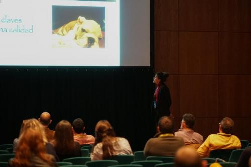 89174071 2661279997303719 5680189958011224064 n 2661279993970386