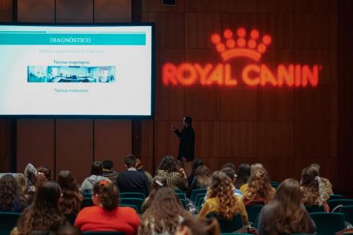 89250664 2661216647310054 5114822504937947136 n 2661216627310056