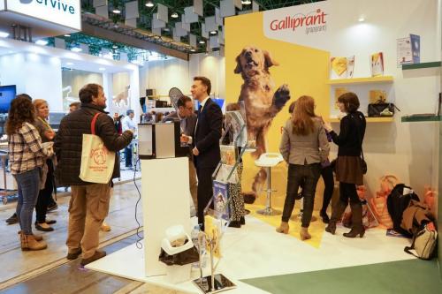 89254876 2661236807308038 2407658666414047232 n 2661236800641372