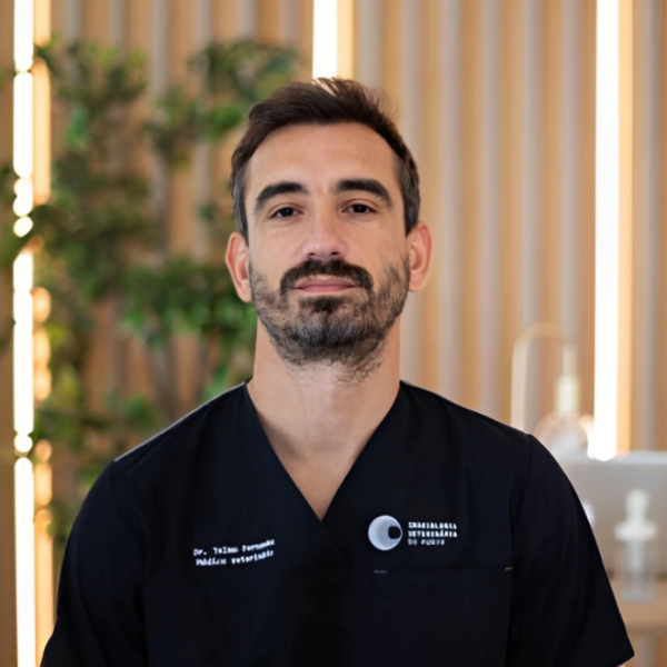 Telmo Fernandes